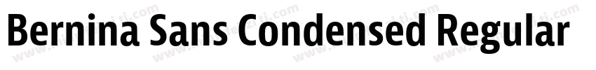 Bernina Sans Condensed Regular字体转换